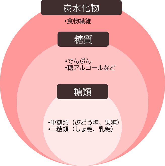 炭水化物、糖質、糖類の関係