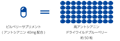 アントシアニンを漬け込んだドライワイルドブルーベリー