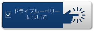 ドライブルーベリーについて